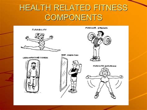 Fitness 102 Health Related Fitness Components Quizizz