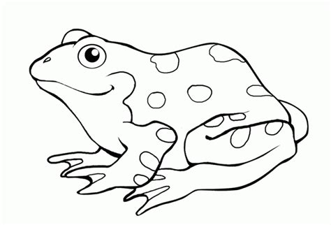 Get This Free Frog Coloring Pages For Kids Ad58l