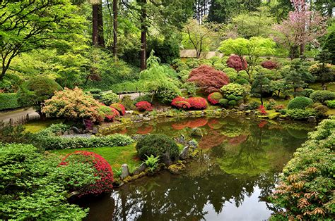 Pictures Usa Japanese Garden Portland Oregon Nature Pond