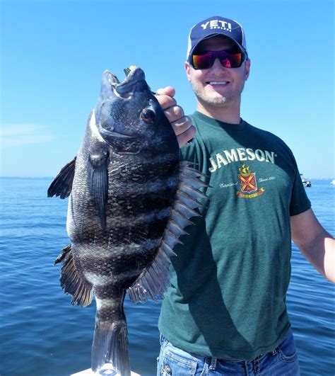 Check spelling or type a new query. The "Fish Coach" shares HOW-to-CATCH Saltwater Sheepshead ...