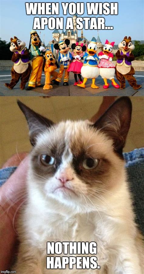Grumpy Cat At Disney World Imgflip