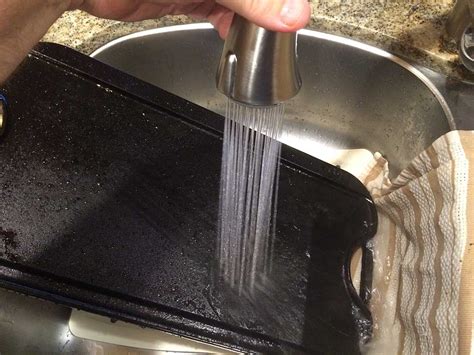 That means something as innocuous as a bit of ash, pollen, or dust—blown in through an open window, perhaps—can interrupt the light beam and set off beeping. Cleaning Cast Iron Griddles & Skillets - The Virtual Weber ...