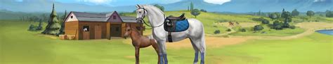 Horse breeding games like howrse. Играй в Howrse, выполняй задания и получай призы