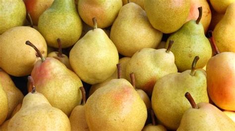 wapa releases june´s apple and pear stock figures ecomercio agrario
