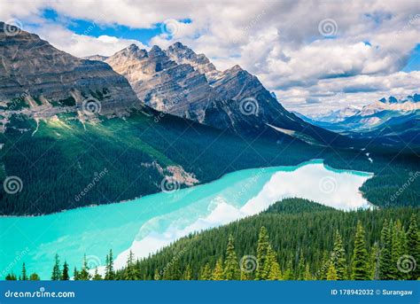 Peyto Lake Banff National Park Alberta Canada Stock Photo Image Of