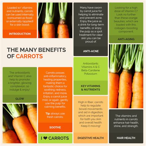 The Many Beauty And Health Benefits Of Carrots Create Your Skincare