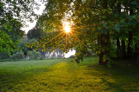 Golden Sun Rays At Dawn Nature Photography Nature Golden Sun