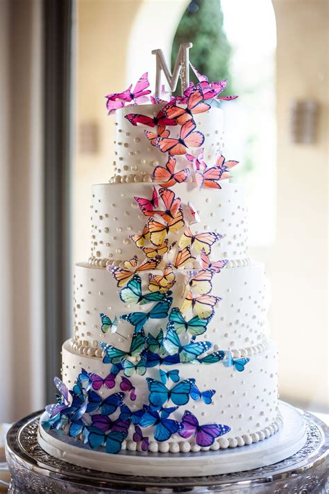 Beautiful Elegant Rainbow Butterfly Cake By Sweet Traders Butterfly