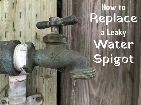 Below are some of the ways one can follow to repair. How to Replace a Leaky Outdoor Faucet or Water Spigot ...