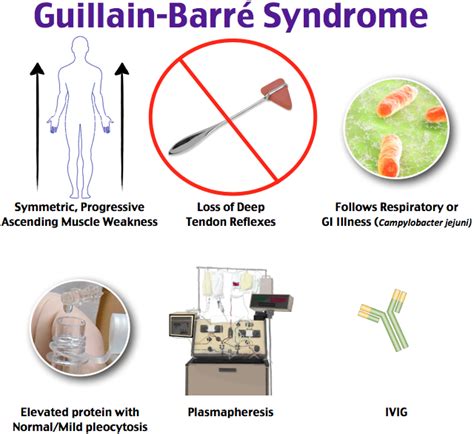 Symptoms often start in your feet and hands before. Rosh Review | Medical education, Guillain barre syndrome, Medical laboratory science