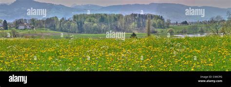 Switzerland Zurich Lützelsee Farm Trees Hi Res Stock Photography And