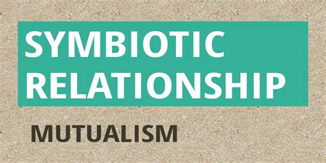Symbiotic Relationship Infogram