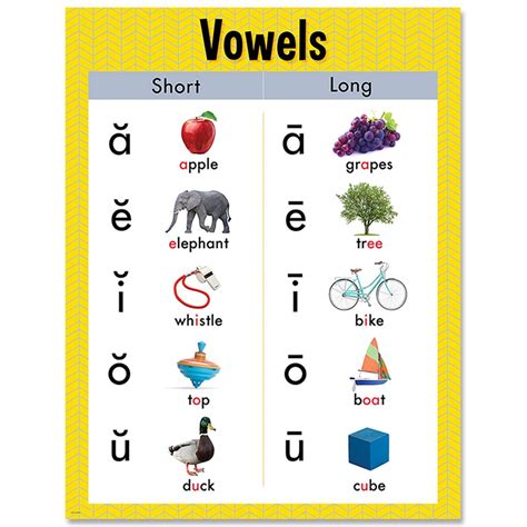 Vowels Chart CTP Creative Teaching Press Language Arts