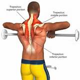 Trapezius Muscle Exercise Pain Pictures