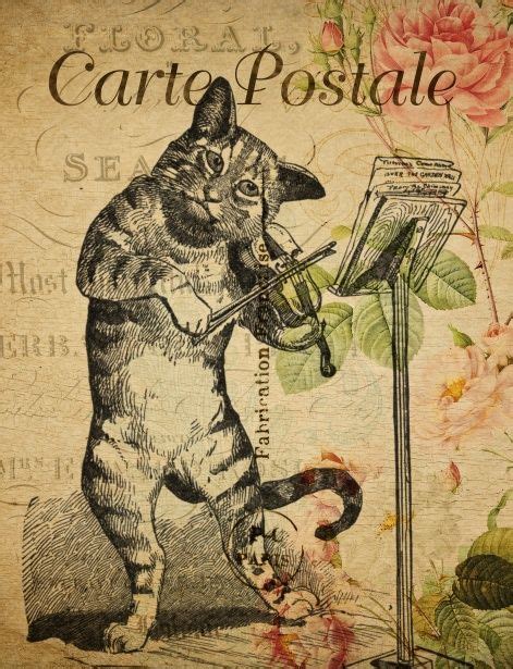 Vintage Floral French Postcard With Cat Playing Fiddle Postcard Cat