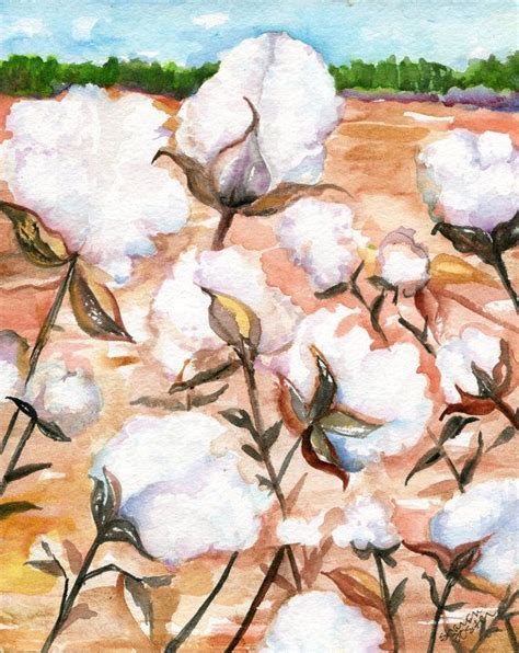 Cotton Painting Watercolor Of Cotton Bolls 8 X 10 Botanical Etsy