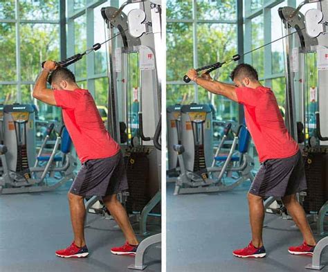 6 Exercises For Stronger Triceps Elite Sports Clubs