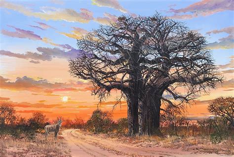 Gemsbok At Sunset With Baobab Tree Errol Norbury Art African