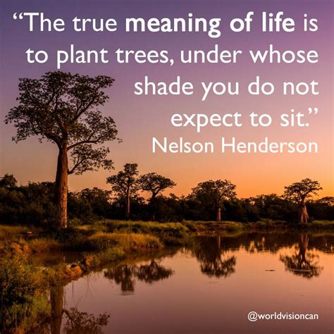 The True Meaning Of Life Is To Plant Trees Under Whose Shade You Do