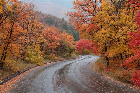 Rainy Autumn Road A Photo On Flickriver