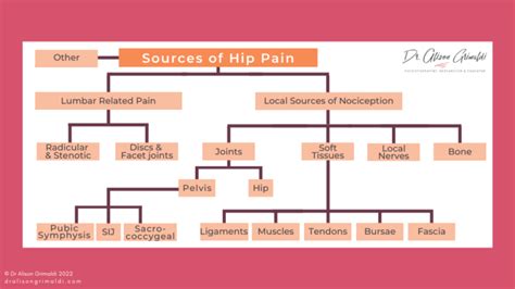 Differential Diagnosis Of Hip Pain Learn More