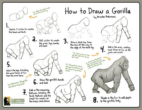 Https://techalive.net/draw/how To Draw A Gorrila