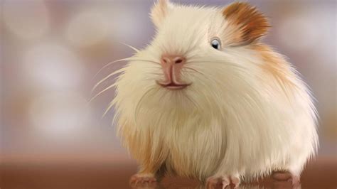 Hamster 4k Wallpapers For Your Desktop Or Mobile Screen Free And Easy