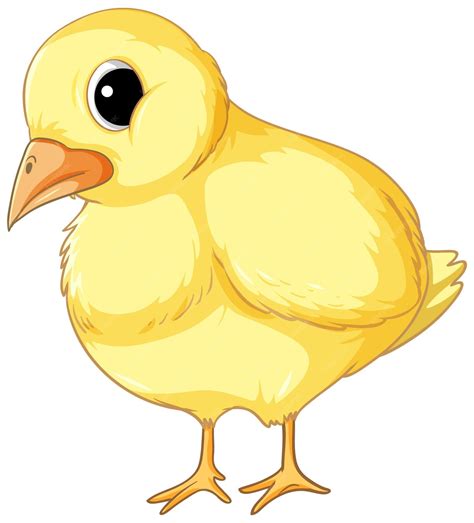 Free Vector A Chick In Cartoon Style