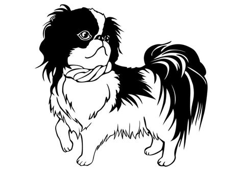 On the other hand, full black coloring is present. Coloriage chien - Shih Tzu - Coloriages Gratuits à Imprimer
