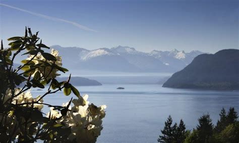 Cactus club cafe (6090 silver drive, burnaby bc). Lions Bay BC | Places to travel, Vancouver island, Travel