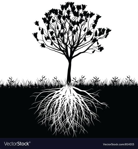 Tree Roots Silhouette Royalty Free Vector Image
