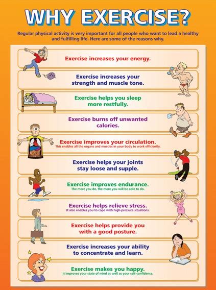 Why Is Exercise Important For The Body Online Degrees