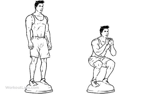Bosu Ball Squat Illustrated Exercise Guide Workoutlabs
