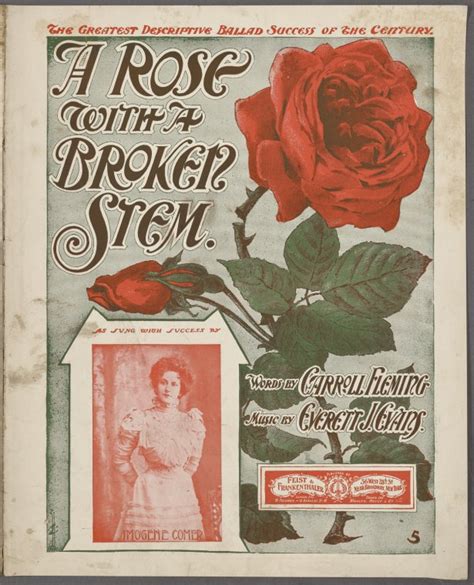 A Rose With A Broken Stem Nypl Digital Collections