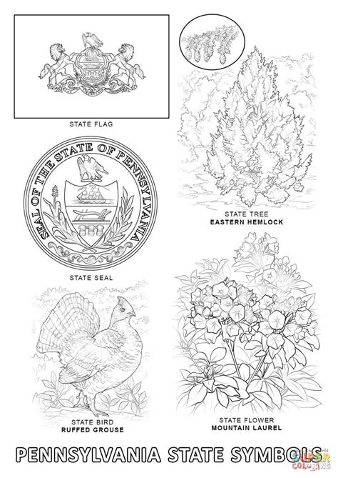 Celebrate pennsylvania birds with the lessons and activities below. Pennsylvania State Symbols coloring page | Free Printable ...