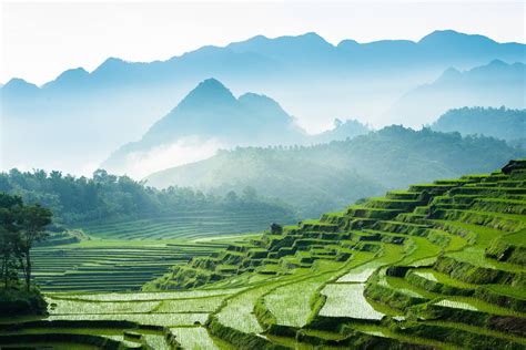 An Image Of Rice Terraces In The Mountains