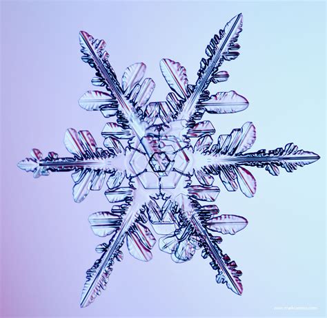 Category Snow Crystal Photography Photoblog