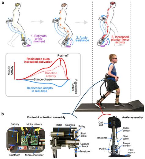 A Wearable Adaptive Resistance Device For Neuromuscular Gait Re