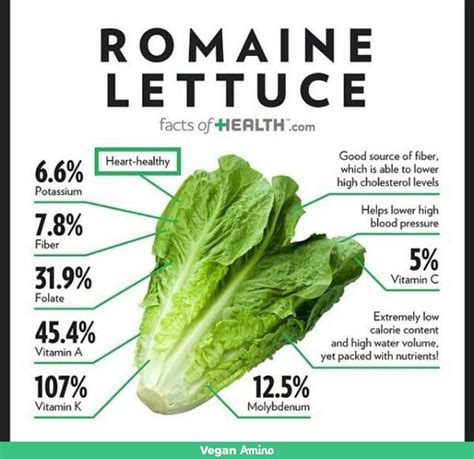 Romaine Lettuce Benefits Food Health Benefits Nutrition Health