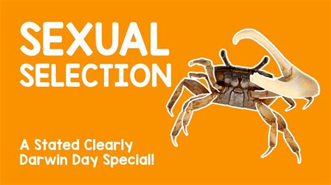 Darwin Day Special What Is Sexual Selection Youtube