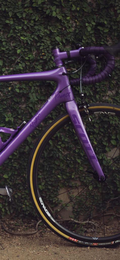 Purple Bike 1242x2688 Iphone 11 Proxs Max Wallpaper Background