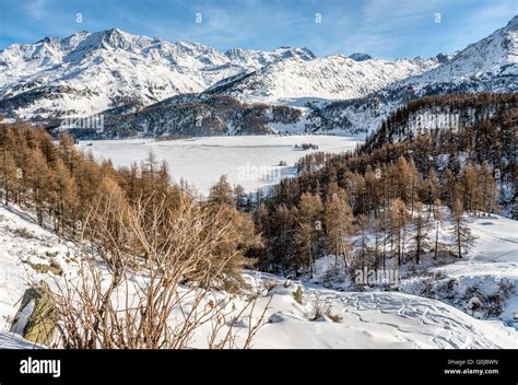 Winter Landscape At Lake Sils Engadine Grisons Switzerland Stock