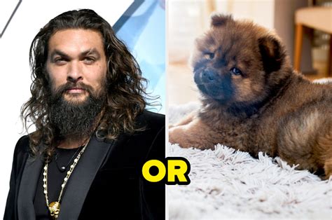 I Dare You To Take This Hot Guys Vs Puppies Would You Rather