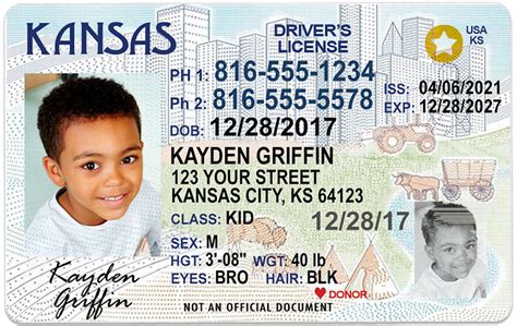Kansas Kid Driver License For Children Under 12 1 Cute Pooch