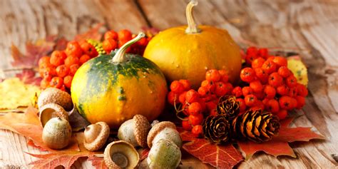 The Best Fall Food, A HuffPost Deathmatch (VOTE) | HuffPost