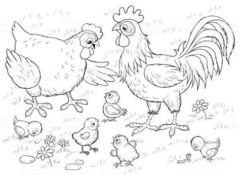 Sebagian besar ayam dipelihara dan diternakan untuk dimanfaatkan daging. Mewarnai Gambar Orang Menari
