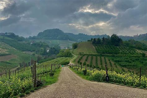 The Best Wineries In Piedmont And Veneto According To One Tl A List
