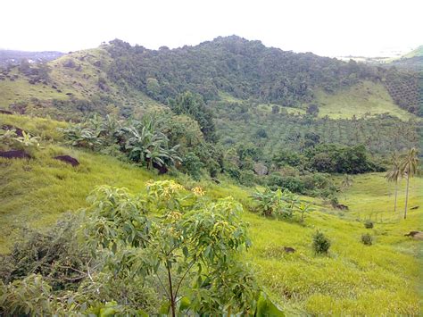 Gunung ini merupakan gunung favorit bagi pendaki indonesia karena menawarkan keindahan alam yang menakjubkan. Page Semporna Mari: Gunung Berapi Di Semporna