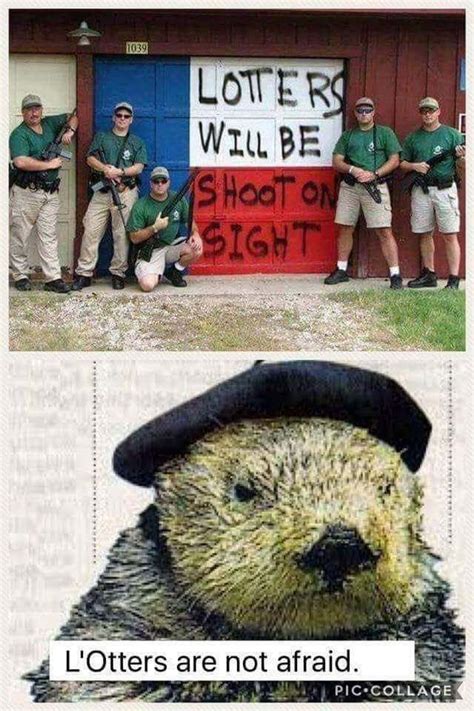 Very few men/people enter the woods. L'Otters are not afraid : funny