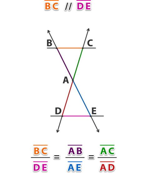 Teoremas Fundamentales De Los Tri Ngulos